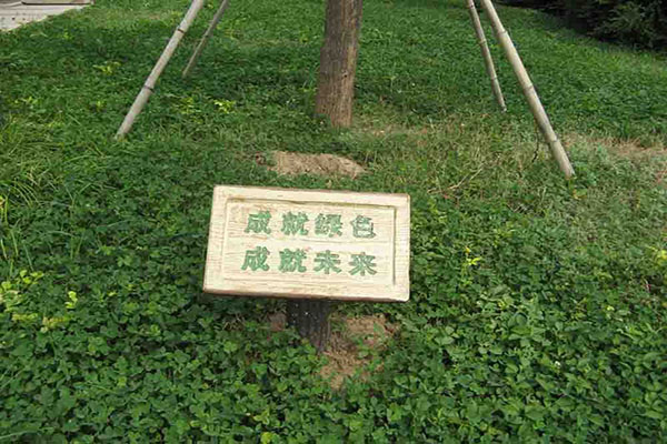 成（chéng）功案例